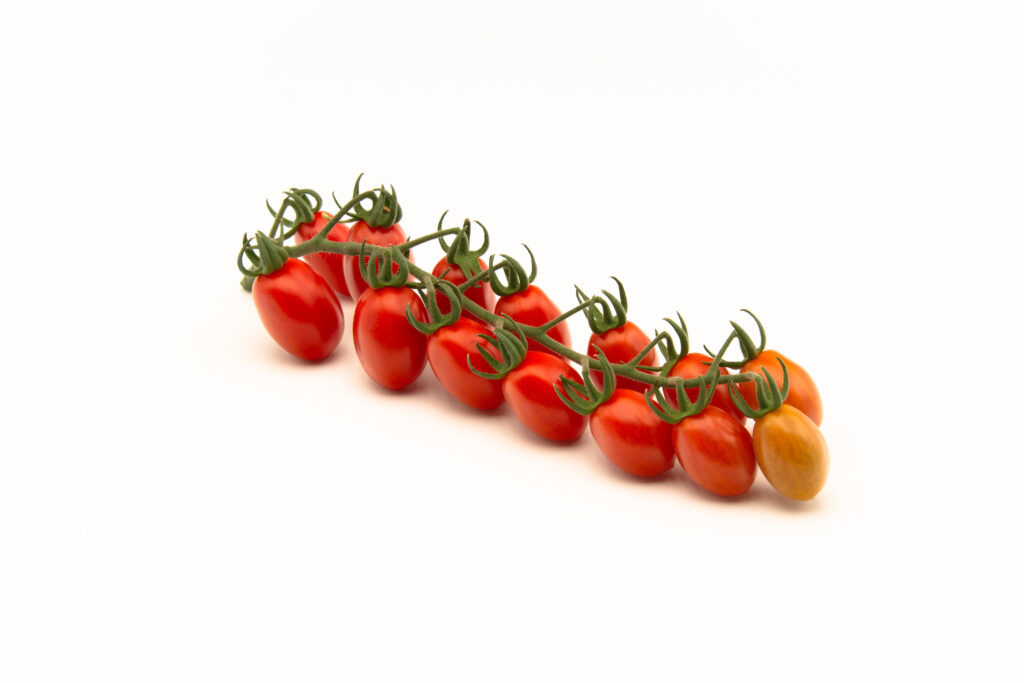tomatoe rhon