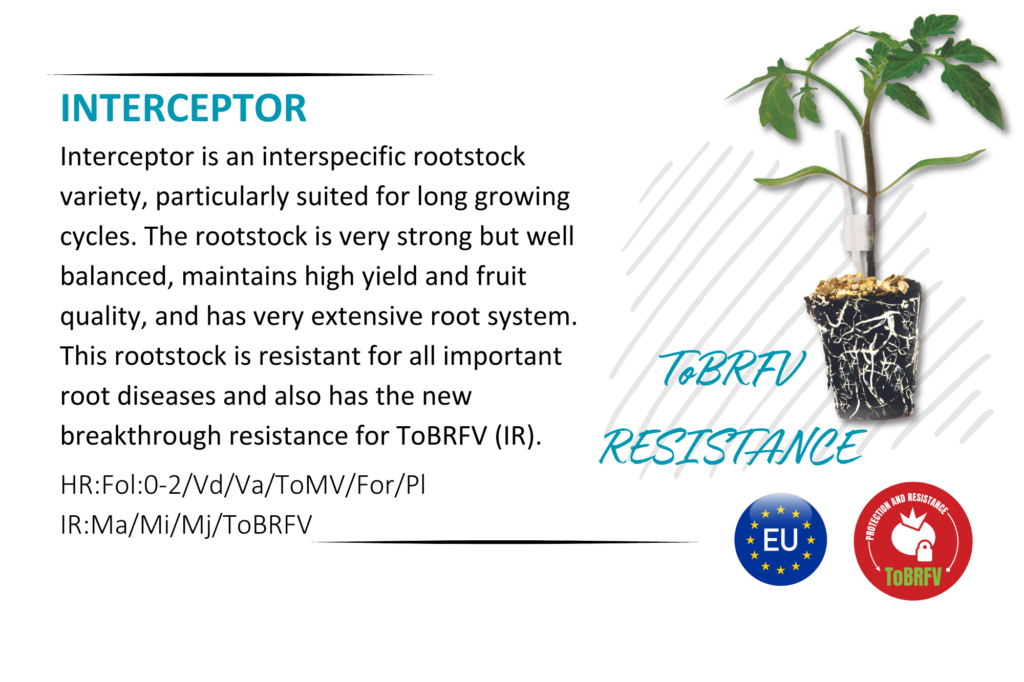 rootstock interceptor